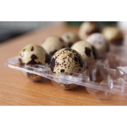 Quail Eggs
