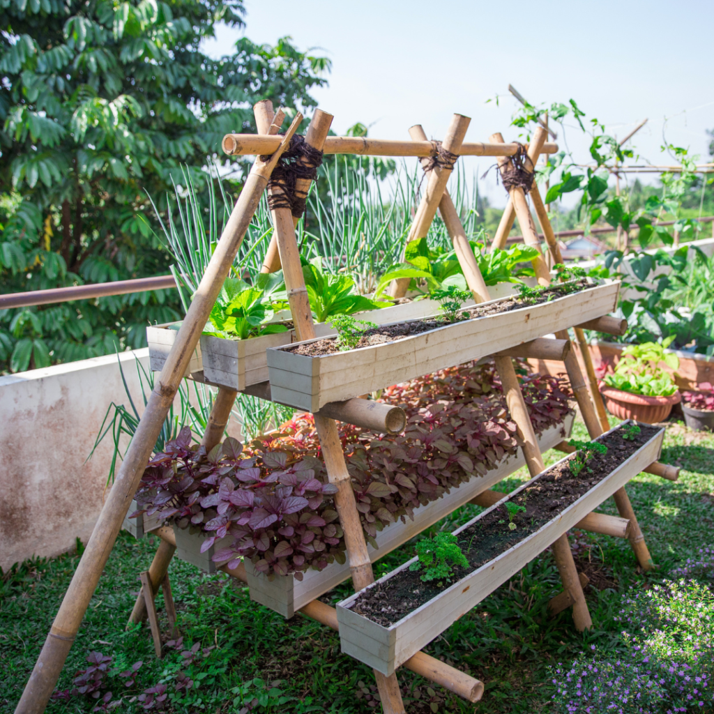 A vegetable garden needs only the best fertilisation, some that Bokashi Compost excels at.