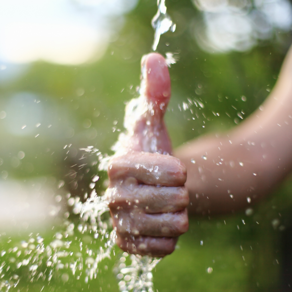 Bokashi Composting is conservative in the amount of water needed to convert food waste into compost.