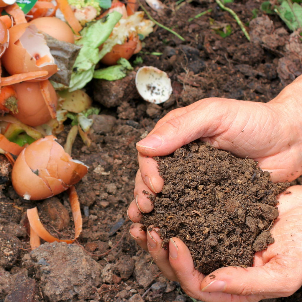 Bokashi composting degrades food waste into compost quickly.