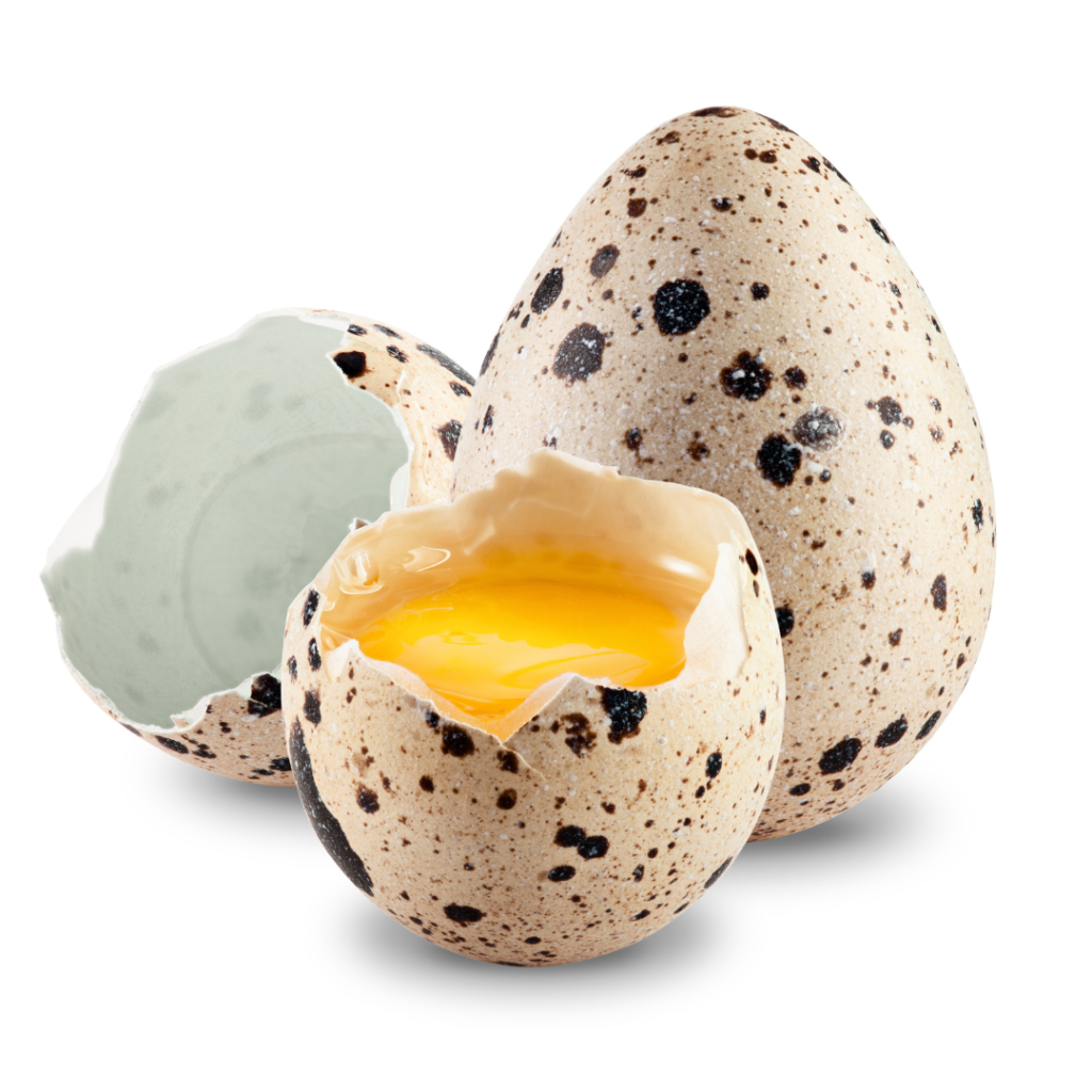 Quail eggs are rich in nutrients