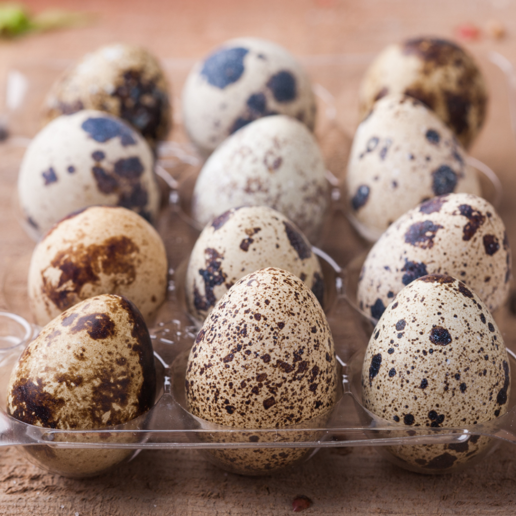Quail eggs can boost your immune system